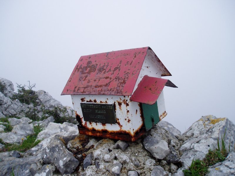 Buzoia