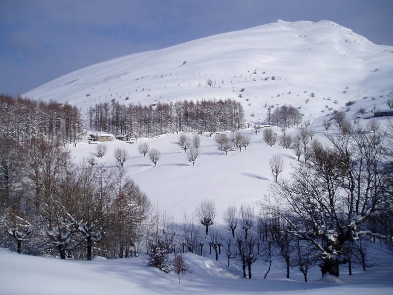 Durutik ikusita