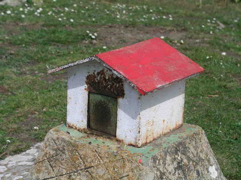 Buzoia