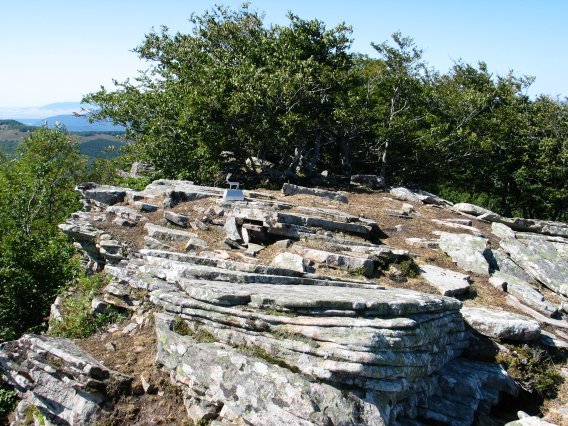Tontorra