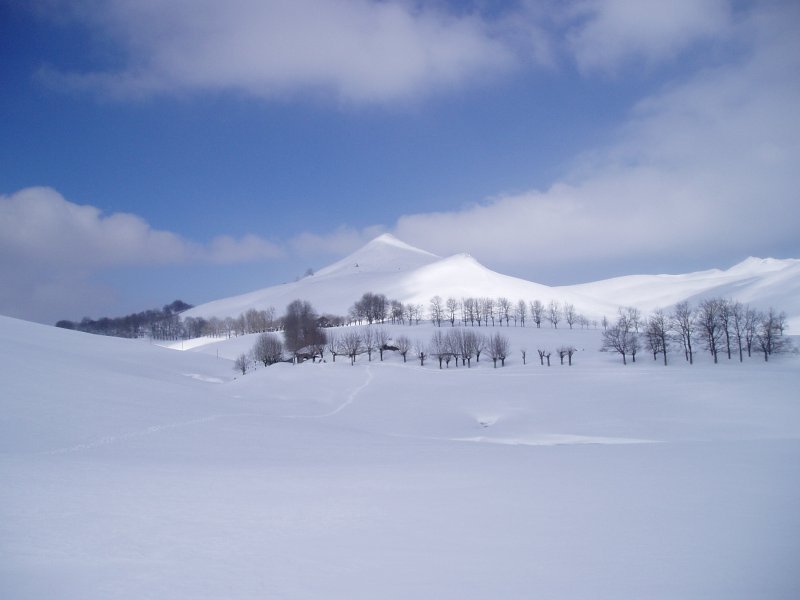 Urbiatik ikusita