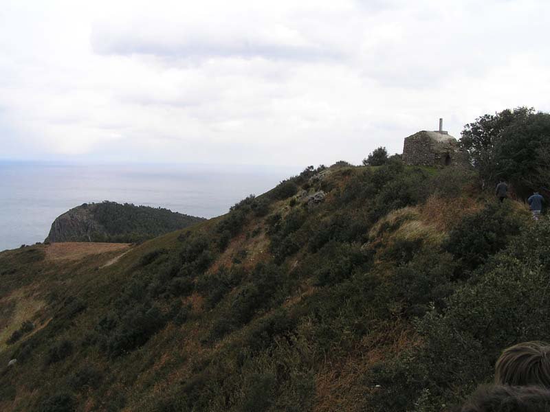 Cima
