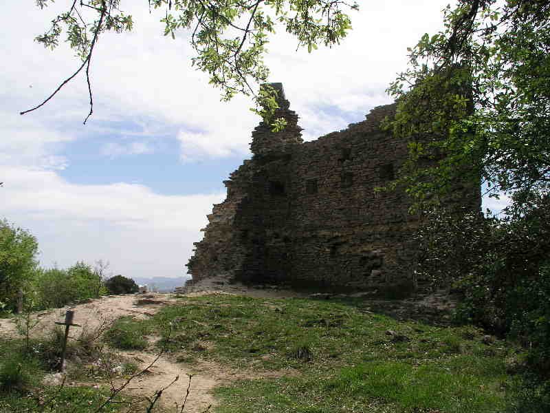 Tontorra