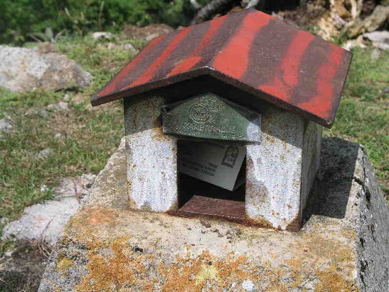 Buzoia