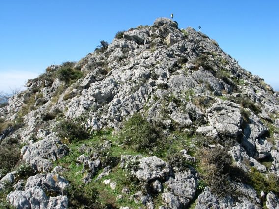 Tontorra