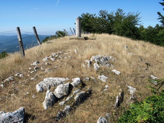 Tontorra