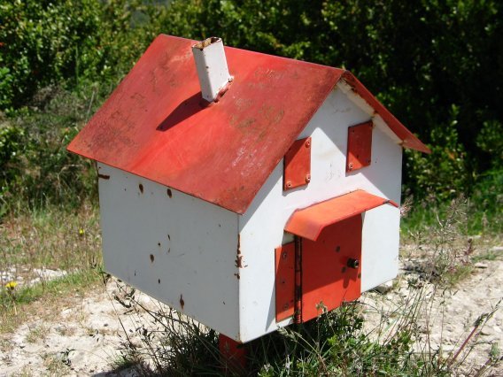 Buzoia