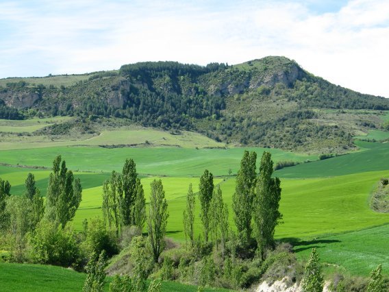 Elortzibarretik