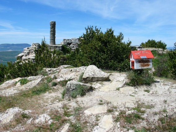 Tontorra