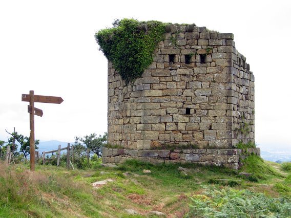 Hirugarren dorrea
