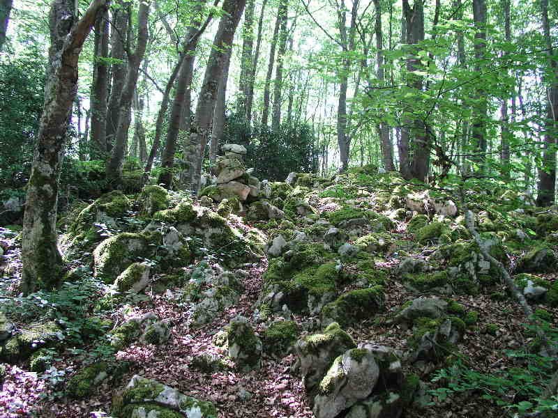Bidea-Cairns