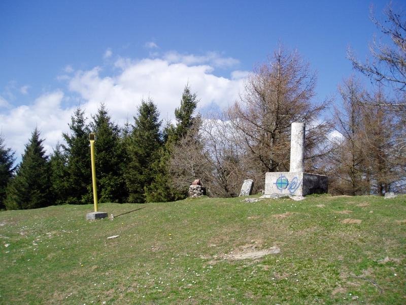 Tontorra