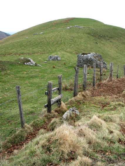 Tontorra