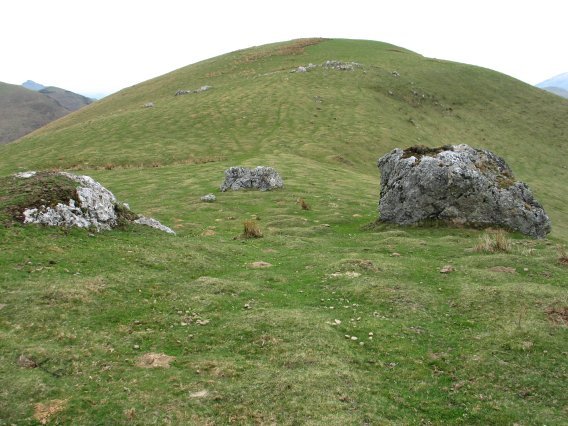 Tontorra