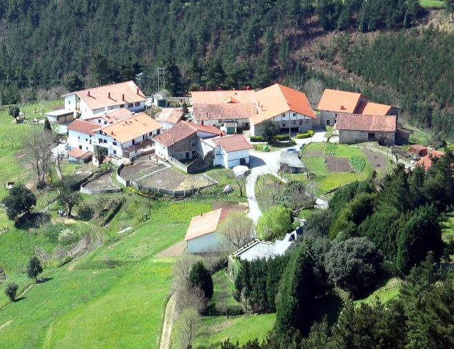 Narea auzoa