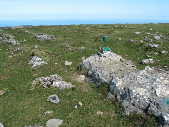 Tontorra
