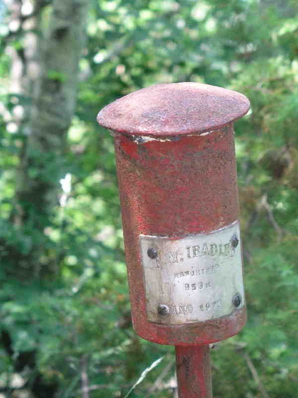 Buzoia