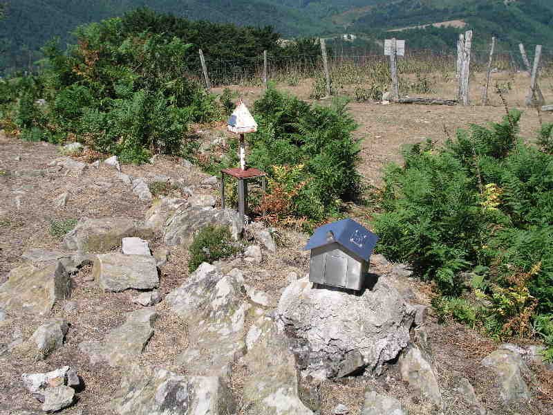 Buzoiak
