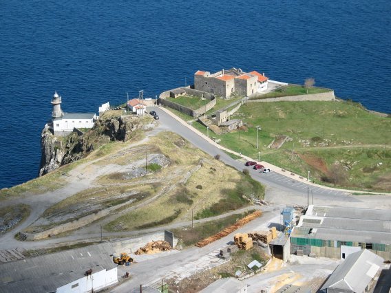 Antxoriz muturra