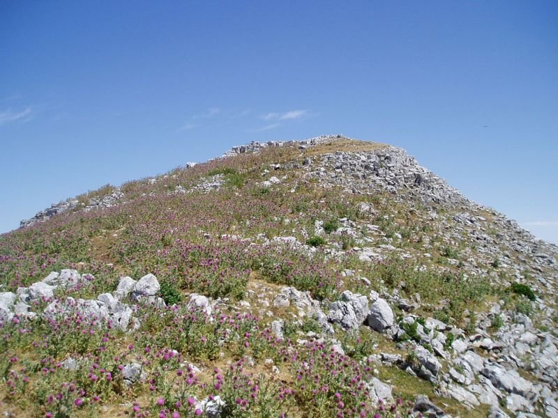 Tontorra