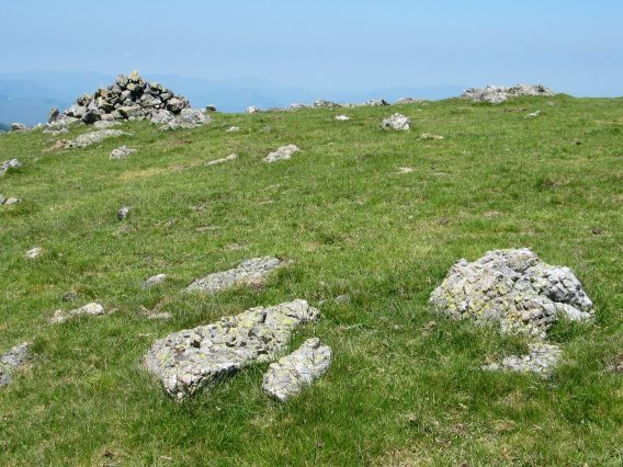 Tontorra