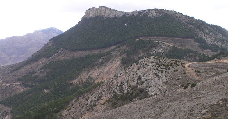 Peñalmonte