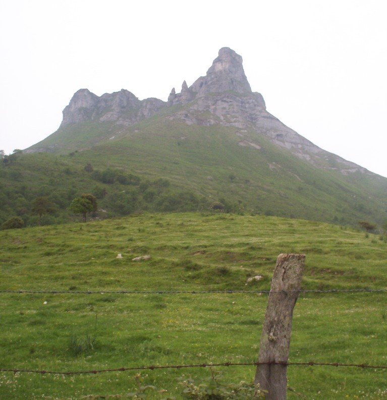 tologorri