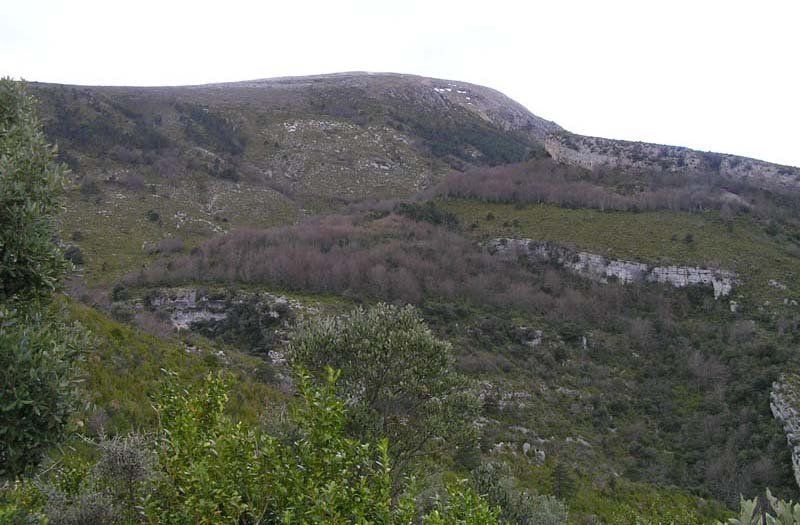 Cima