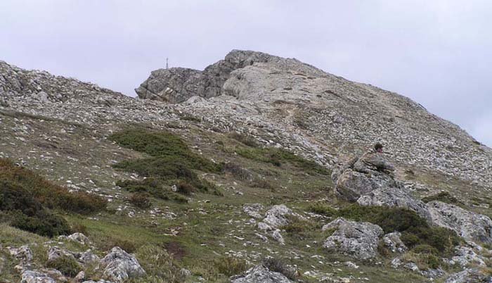 Cima