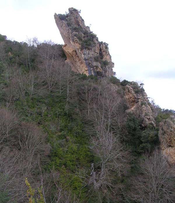 Sendero