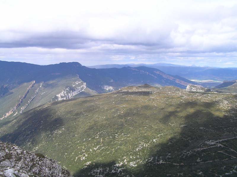Vistas