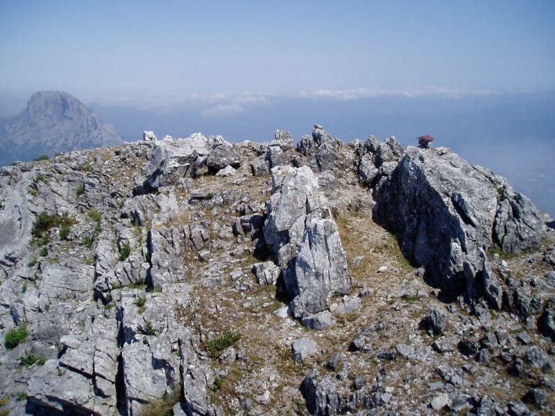Tontorra
