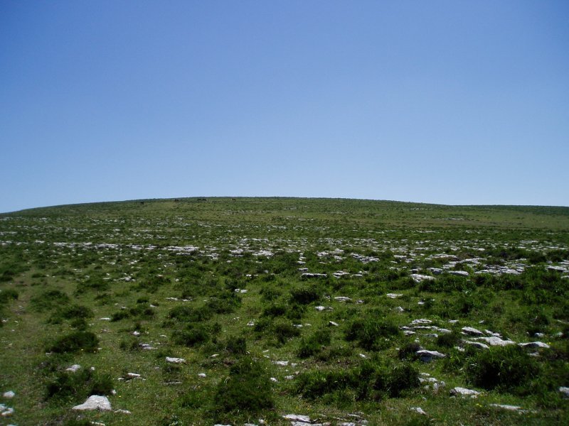 Mendigaina