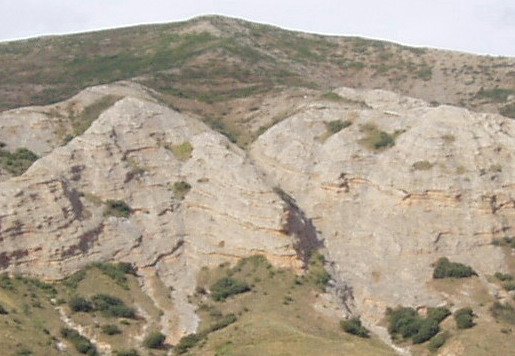 Verdina