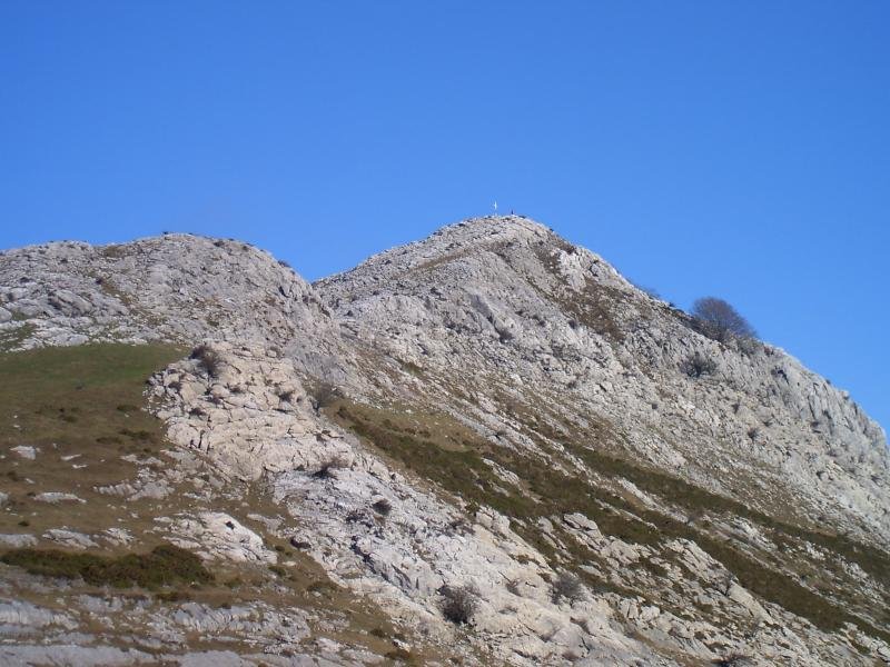 El monte