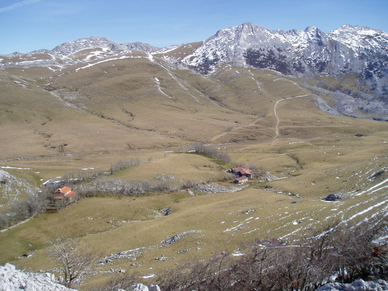Urbia