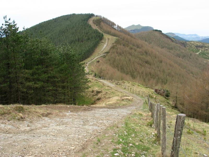 HEko bizkarra