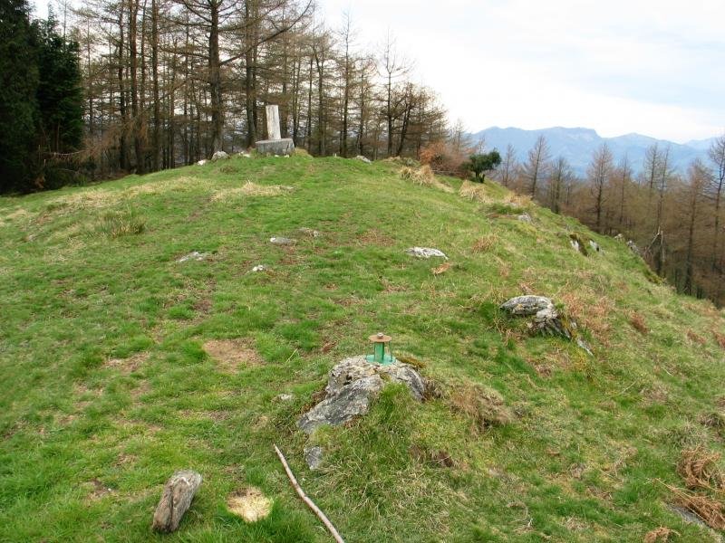 Tontorra