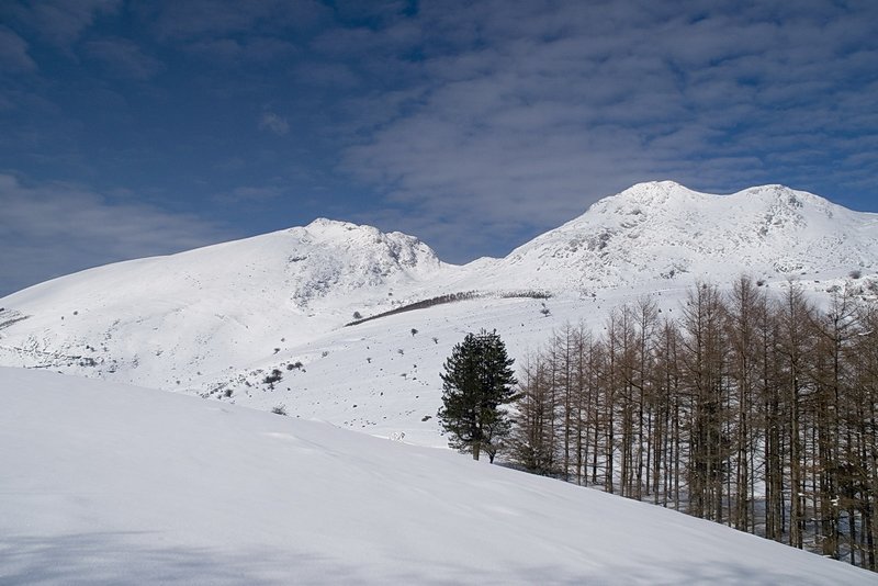 akaitz edurrakin