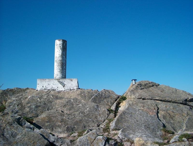 Arburu tontorra