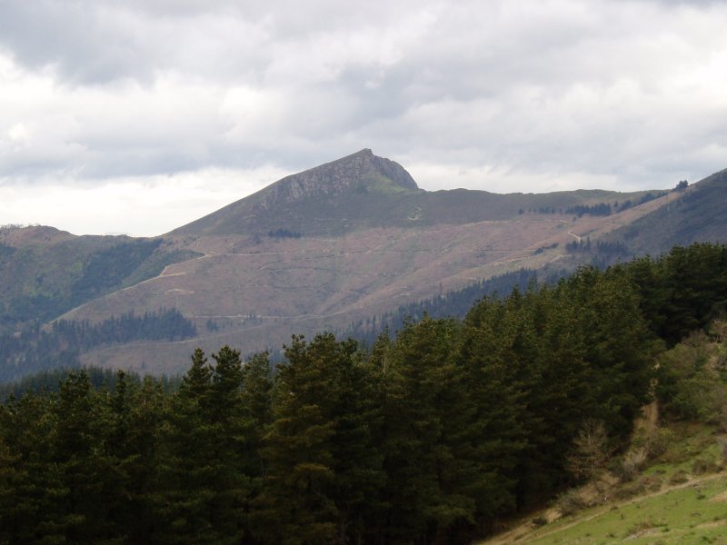 Kamarakatik ikusita