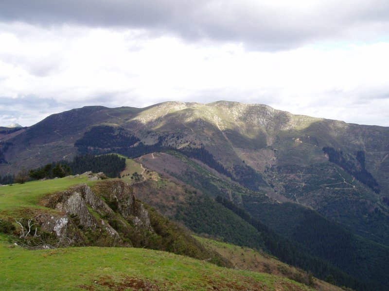 Kamarakatik ikusita