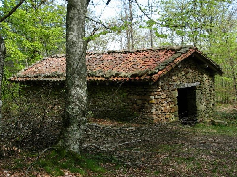 Goikozelaiko borda