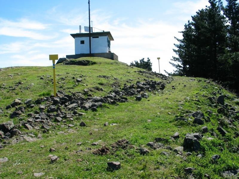 Tontorra