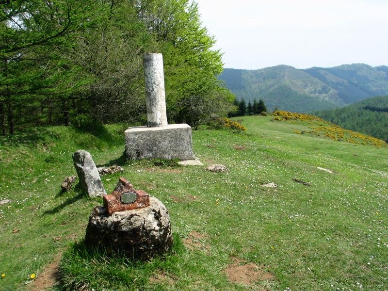 Tontorra