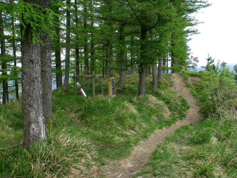 Tontorra