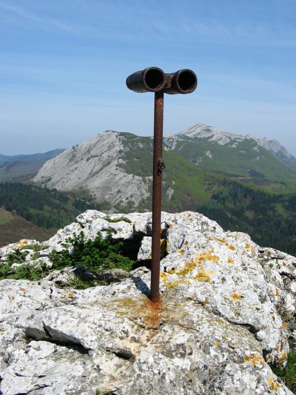 Buzoia edo...