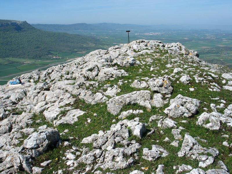 Tontorra