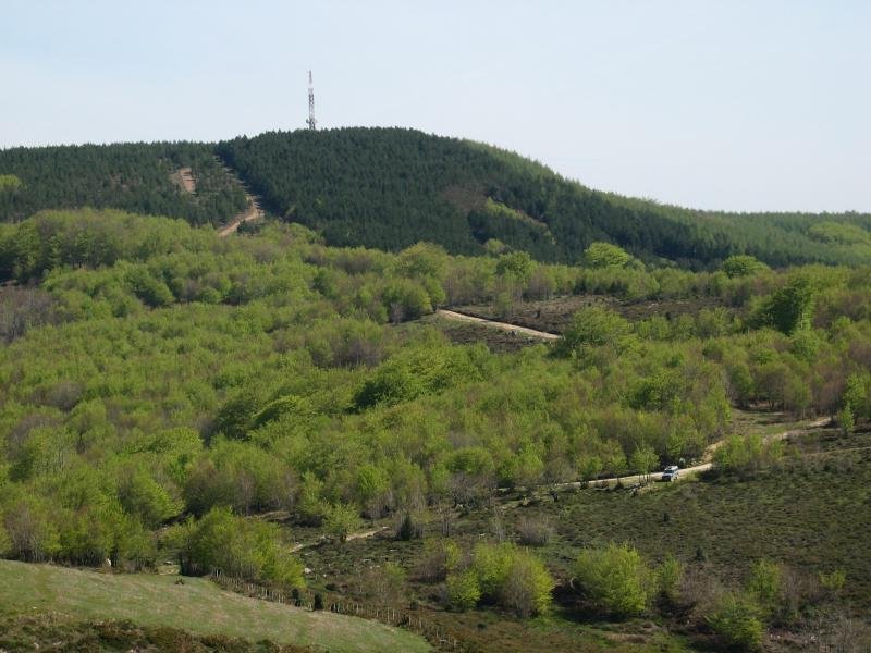 Olanotik ikusita