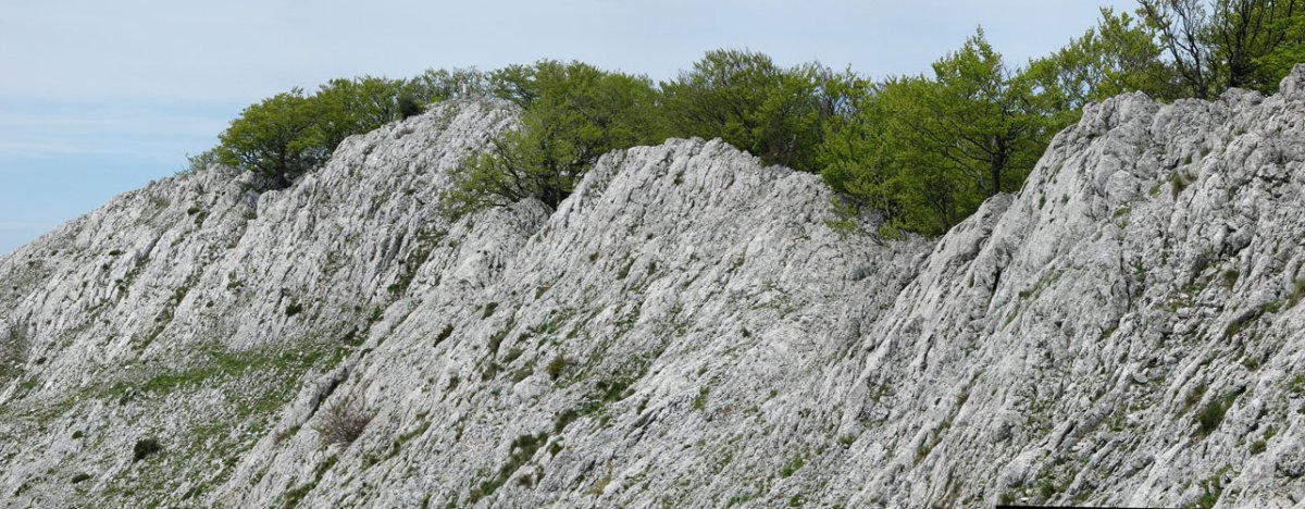 Gandorra Ekialdetik
